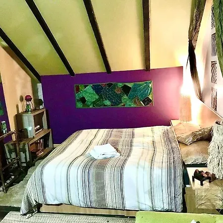 Pet Friendly Charming House With Garden * Braşov