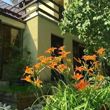Pet Friendly Charming House With Garden Braşov